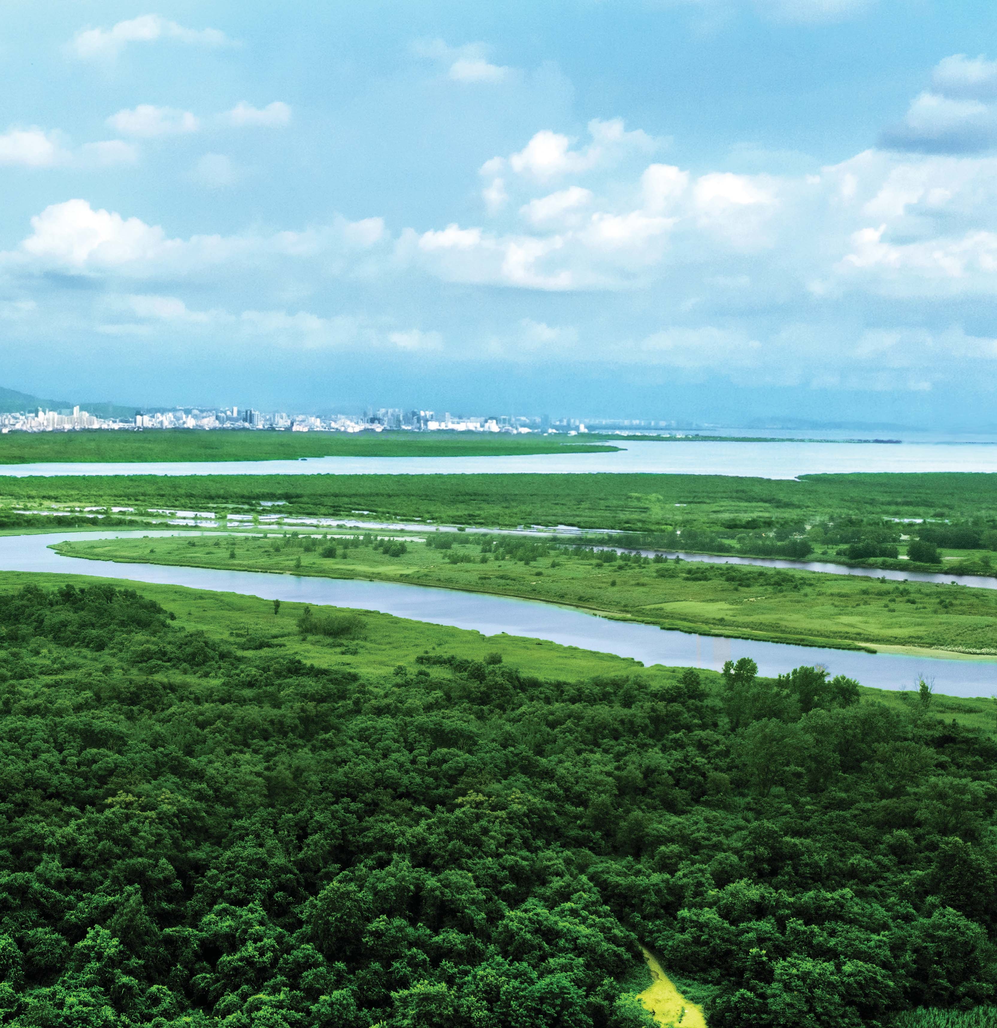 Project View